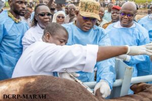 insémination artificielle animale