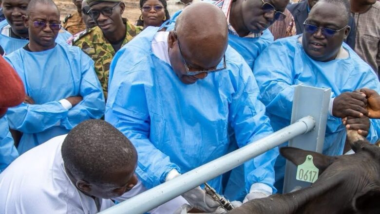 insémination artificielle animale