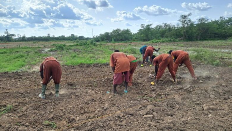centre pénitentiaire agricole