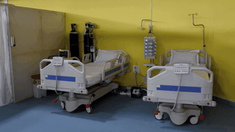 transplantation rénale