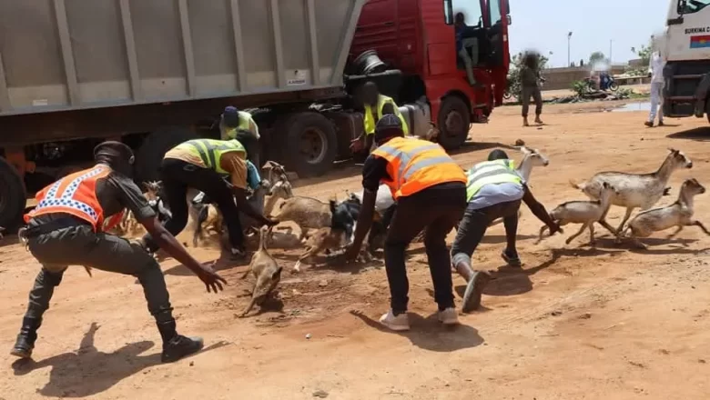 Interdiction de l’élevage à Ouagadougou
