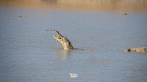 Tourisme interne au Burkina Faso