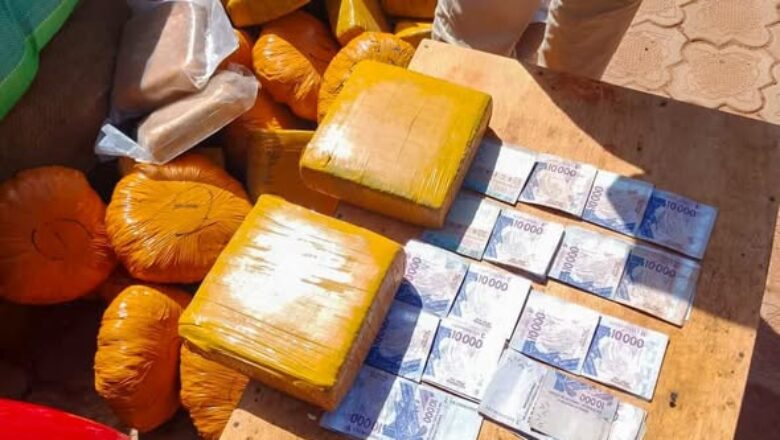 saisie chanvre indien