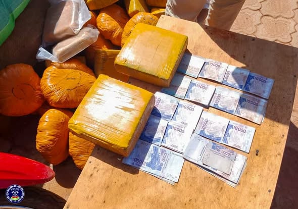 saisie chanvre indien