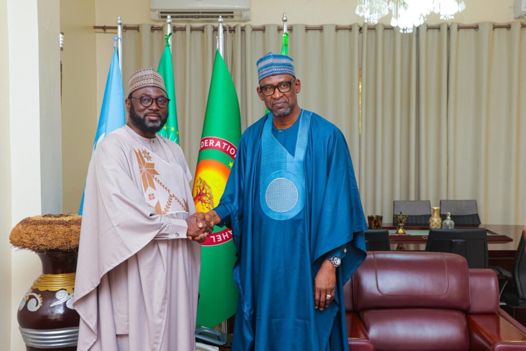 Union africaine Mali