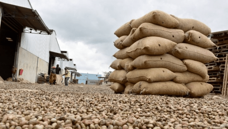 Image d'illustration