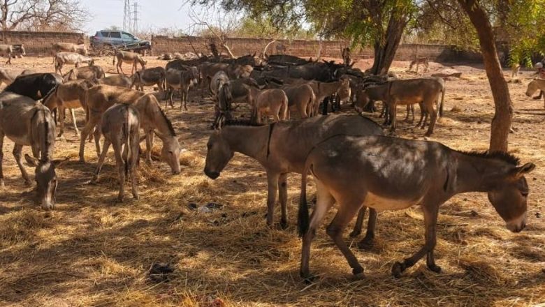 Image d'illustration