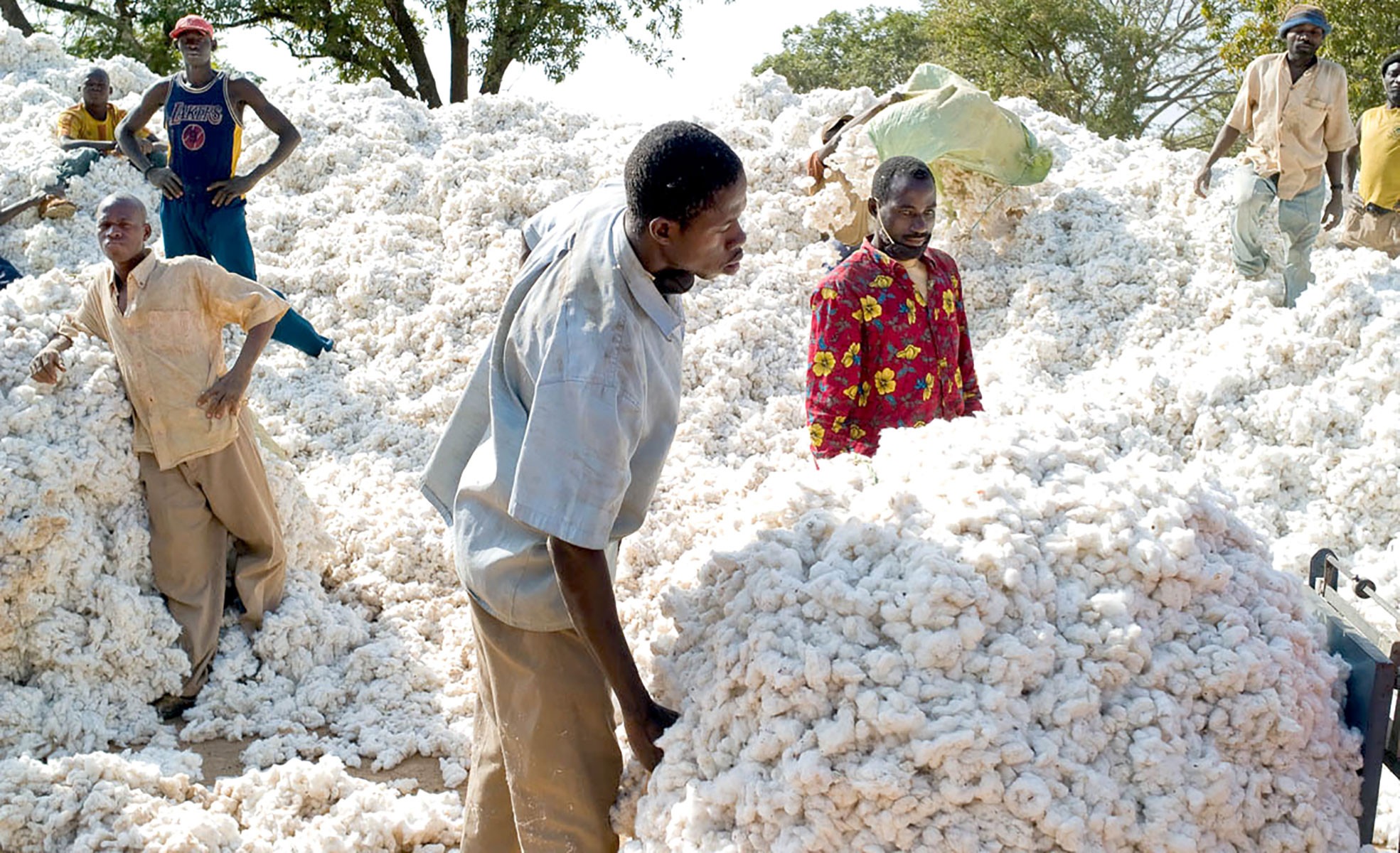 Burkina Faso : 15,8 milliards FCFA mobilisés pour maintenir le prix des engrais et relancer la production cotonnière