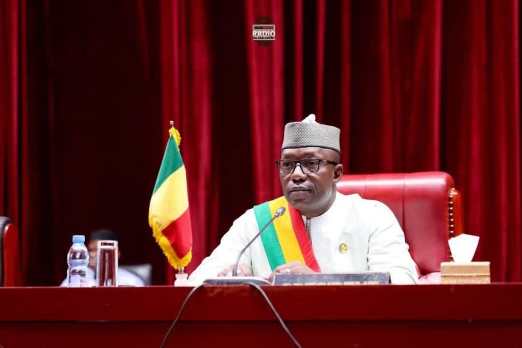Le Mali adopte une nouvelle loi pour réorganiser sa défense et renforcer sa sécurité nationale