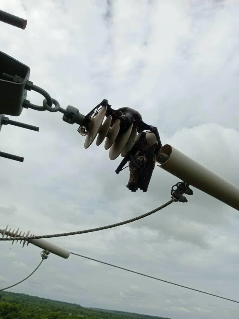 Burkina Faso : les chauves-souris à l’origine de coupures d’électricité nocturnes